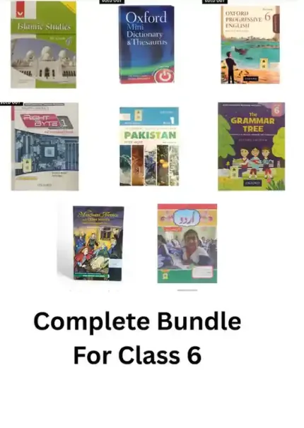 Complete Bundle of Class 6 for Multan Public School