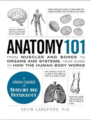 Anatomy 101 From Muscles and Bones to Organs Anatomy 101 From Muscles and Bones to Organs
