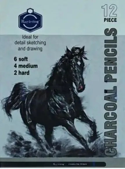 Charcoal Pencils Set of 12