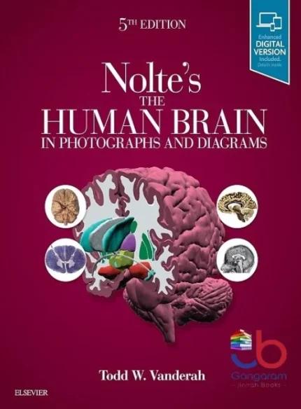 Cover Image of Nolte's The Human Brain in Photographs and Diagrams 5th Edition