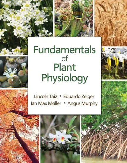 Cover Image for Fundamentals of Plant Physiology 1st Edition