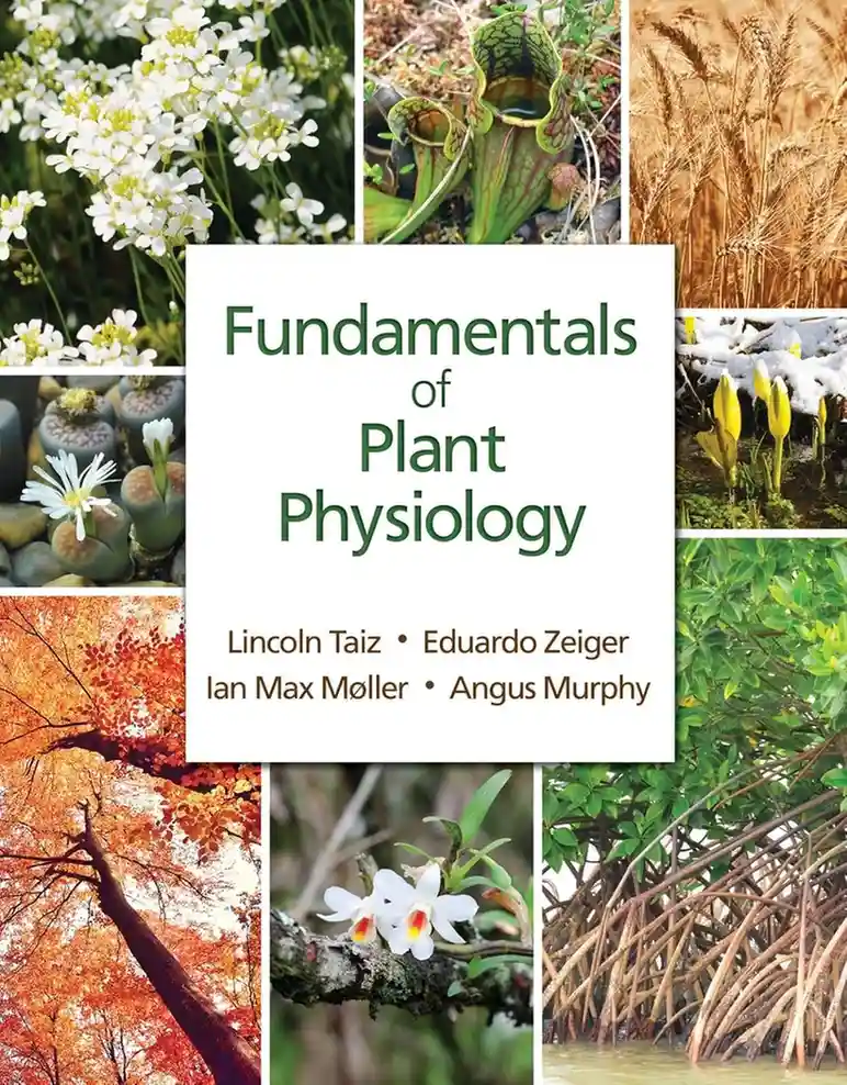 Fundamentals of Plant Physiology 1st Edition (2) Cover Image for Fundamentals of Plant Physiology 1st Edition