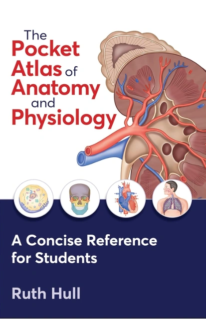 Cover image for The Pocket Atlas of Anatomy and Physiology 1st Edition