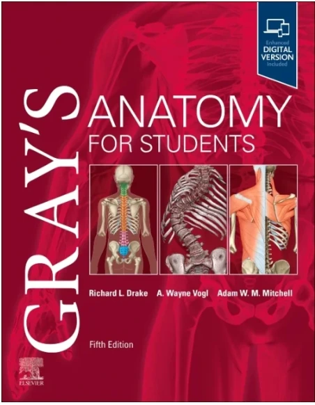 Gray’s Anatomy for Students 5th Edition